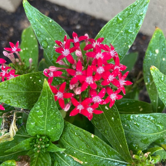 ✨Meet Your Poshers✨ - Picture 8 of 16